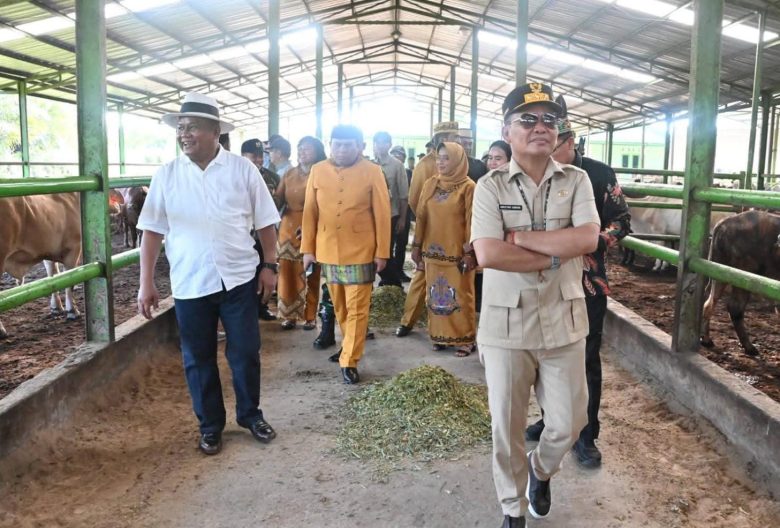 Whatsapp Image 2025 10 03 At 9.11.56 Pm