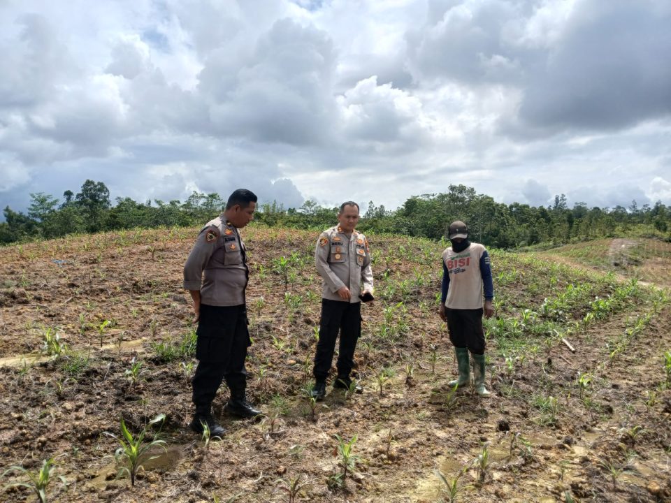 Whatsapp Image 2025 10 21 At 11.04.21 Am