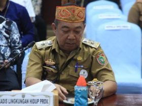 Whatsapp Image 2025 10 24 At 12.04.09 Pm