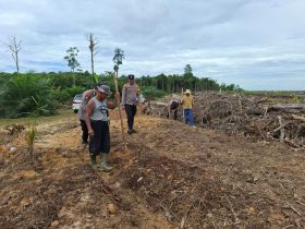 Whatsapp Image 2025 10 28 At 1.00.36 Pm