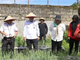 Whatsapp Image 2025 10 31 At 12.57.07 Pm