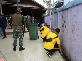 Whatsapp Image 2025 10 31 At 2.34.46 Pm