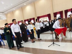 15e5d4e9 A5c7 44e9 A38d E33e48fc546c