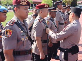 1d35eded 5b4d 4bf5 96c6 39552c60940c