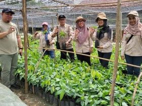 24494f0d 5ead 4609 9f4e 1f943b94a338