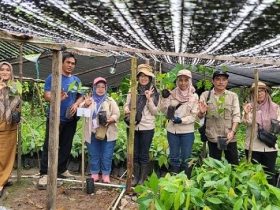 61ae12a8 F067 4ba5 Bf8a Eb2efe7b2097