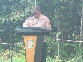 Bupati Katingan, Saiful