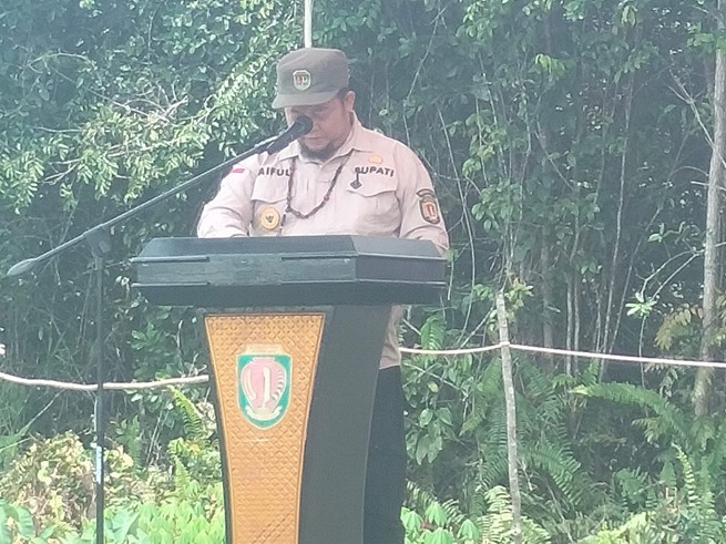 Bupati Katingan, Saiful