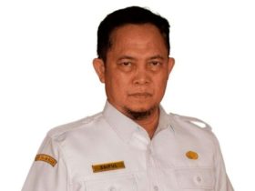 Wakil Bupati Katingan, Firdaus