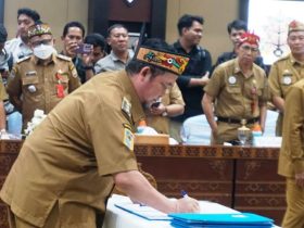 Bupati Katingan, Saiful