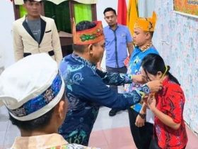 Wakil Bupati Katingan, Firdaus