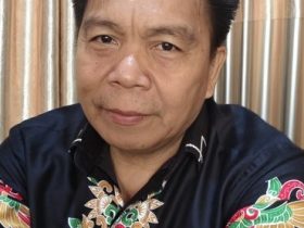 Plt Kepala Dinas Pendidikan Kabupaten Katingan, Arianson