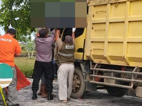 Whatsapp Image 2025 11 04 At 7.31.59 Pm