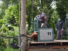 Whatsapp Image 2025 11 09 At 6.19.23 Pm