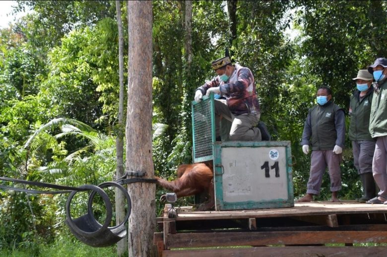 Whatsapp Image 2025 11 09 At 6.19.23 Pm