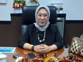 Whatsapp Image 2025 11 10 At 7.52.12 Pm