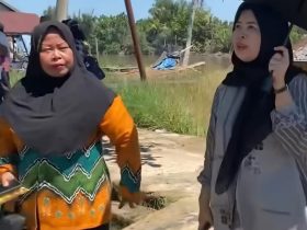 Whatsapp Image 2025 11 11 At 11.00.30 Am