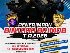 Whatsapp Image 2025 11 11 At 3.06.32 Pm