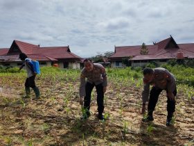 Whatsapp Image 2025 11 12 At 11.00.27 Am