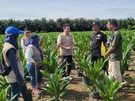 Whatsapp Image 2025 11 13 At 1.01.07 Pm