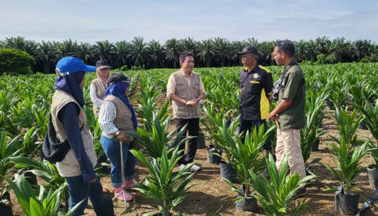 Whatsapp Image 2025 11 13 At 1.01.07 Pm