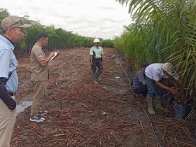 Whatsapp Image 2025 11 13 At 1.03.29 Pm