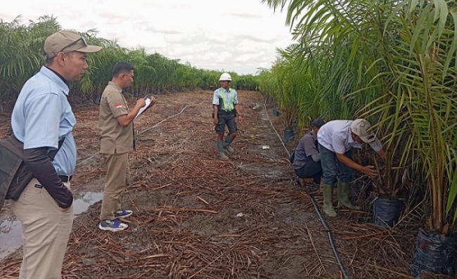 Whatsapp Image 2025 11 13 At 1.03.29 Pm