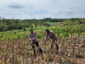 Whatsapp Image 2025 11 13 At 4.22.45 Pm