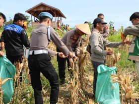 Whatsapp Image 2025 11 14 At 2.18.24 Pm