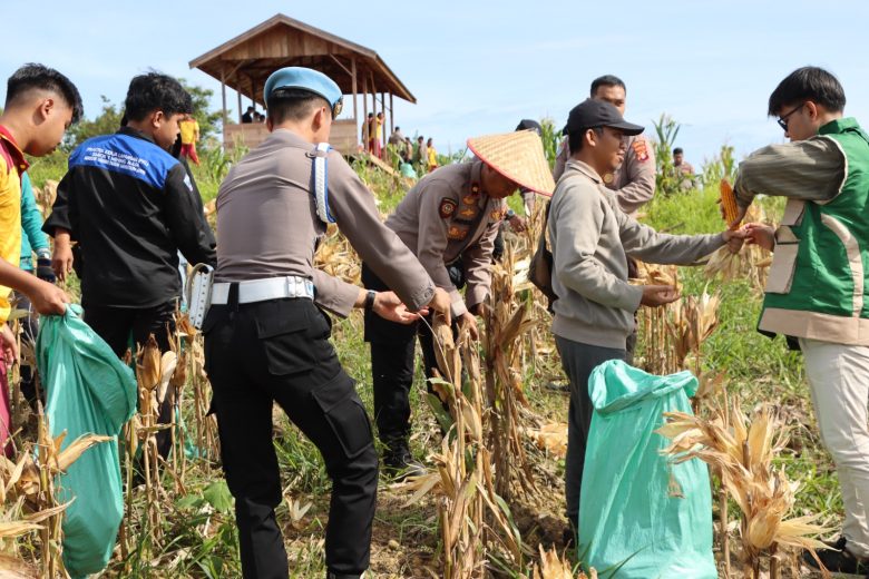 Whatsapp Image 2025 11 14 At 2.18.24 Pm