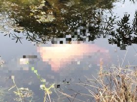 Whatsapp Image 2025 11 20 At 5.12.45 Pm