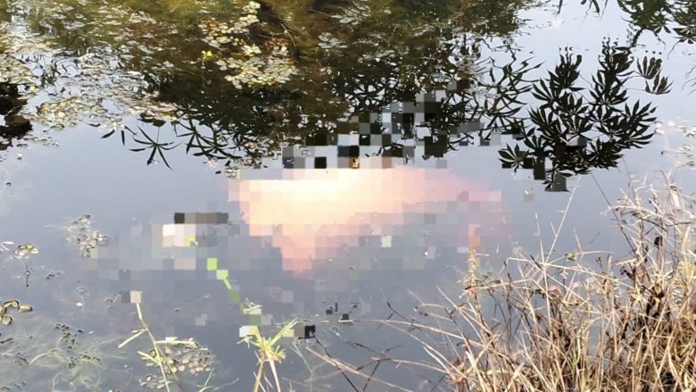 Whatsapp Image 2025 11 20 At 5.12.45 Pm