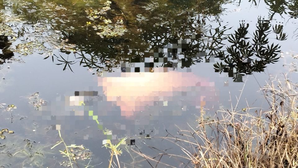 Whatsapp Image 2025 11 20 At 5.12.45 Pm