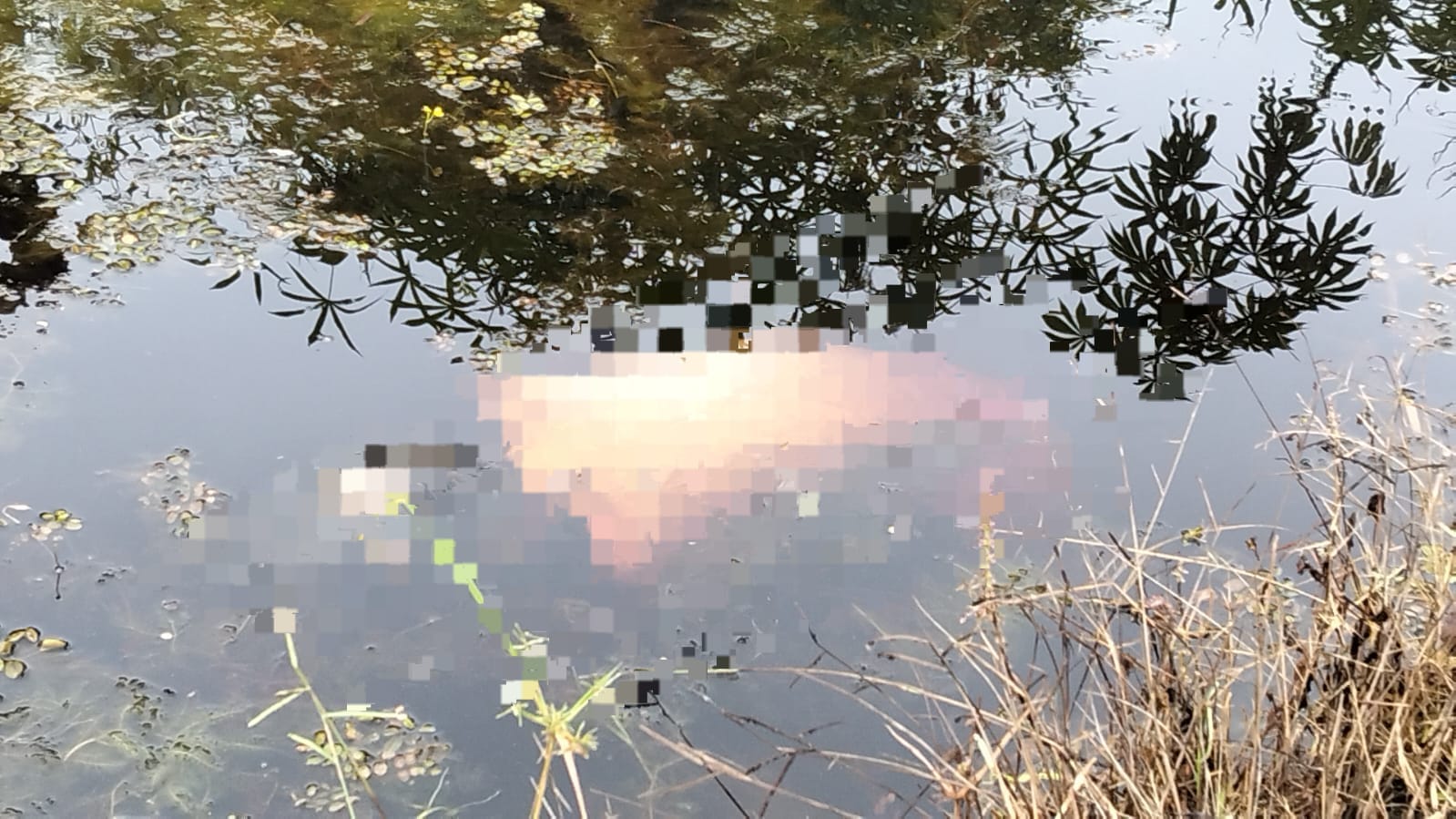 Whatsapp Image 2025 11 20 At 5.12.45 Pm