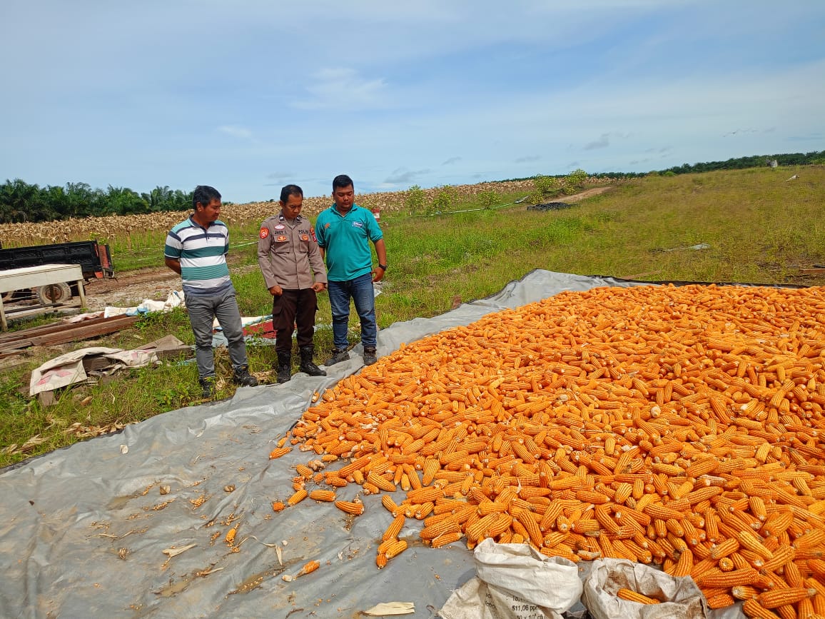 Whatsapp Image 2025 11 26 At 12.52.21 Pm