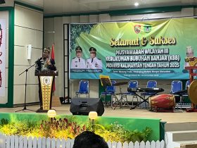 Whatsapp Image 2025 11 30 At 8.54.11 Am