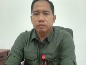 Ea7a3311 9479 44e6 B07d 8c24b25c6c96