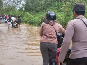 0e7aea4d 040b 4fbe Bb47 1a3f5e5fb7f4