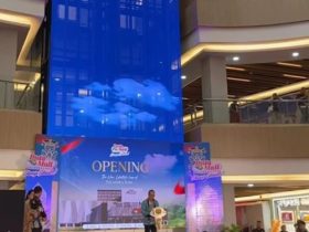 Wakil Ketua II DPRD Kota Palangka Raya, Nenie Adriati Lambung