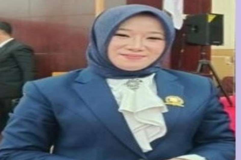 Anggota DPRD Murung Raya, Lita Nofriana