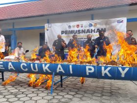 Whatsapp Image 2025 12 03 At 12.25.53 Pm