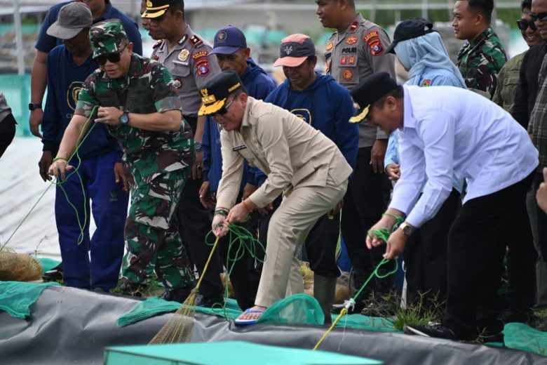 Whatsapp Image 2025 12 08 At 9.06.25 Am