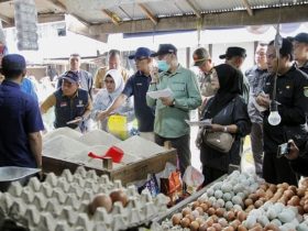 Whatsapp Image 2025 12 09 At 3.19.03 Pm