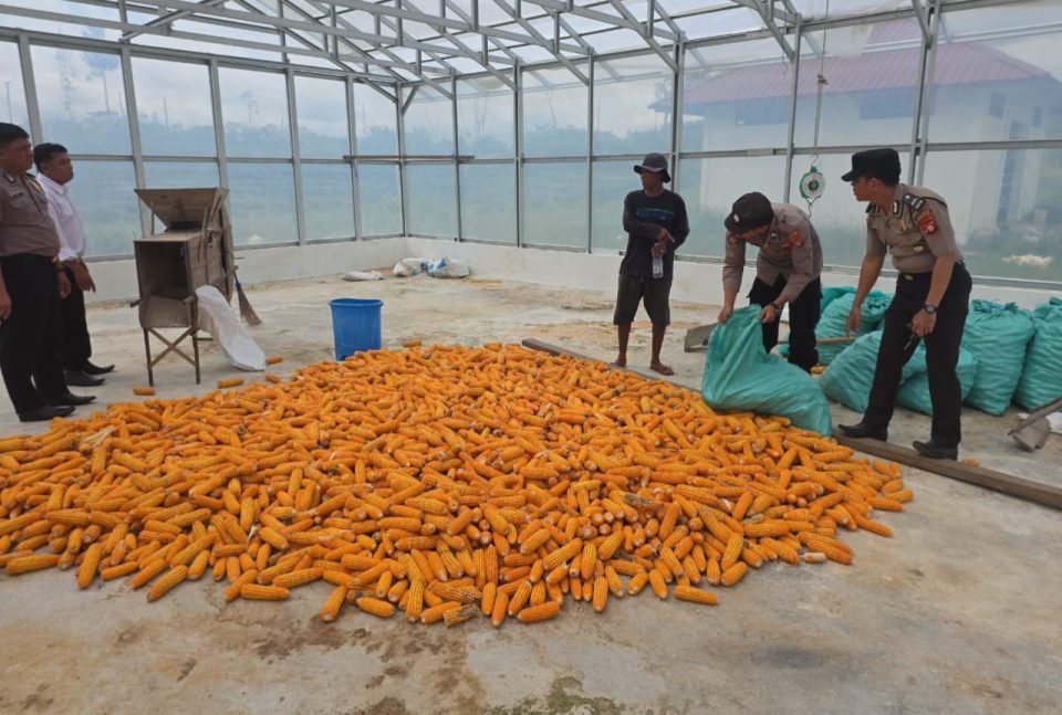 Whatsapp Image 2025 12 10 At 1.39.13 Pm