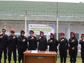 Whatsapp Image 2025 12 11 At 11.08.01 Pm