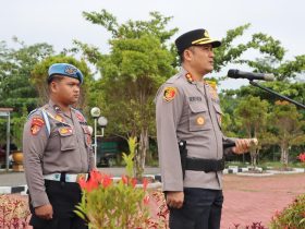 Whatsapp Image 2025 12 19 At 12.16.47 Pm