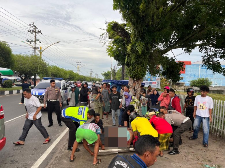 Whatsapp Image 2025 12 30 At 12.27.44 Pm