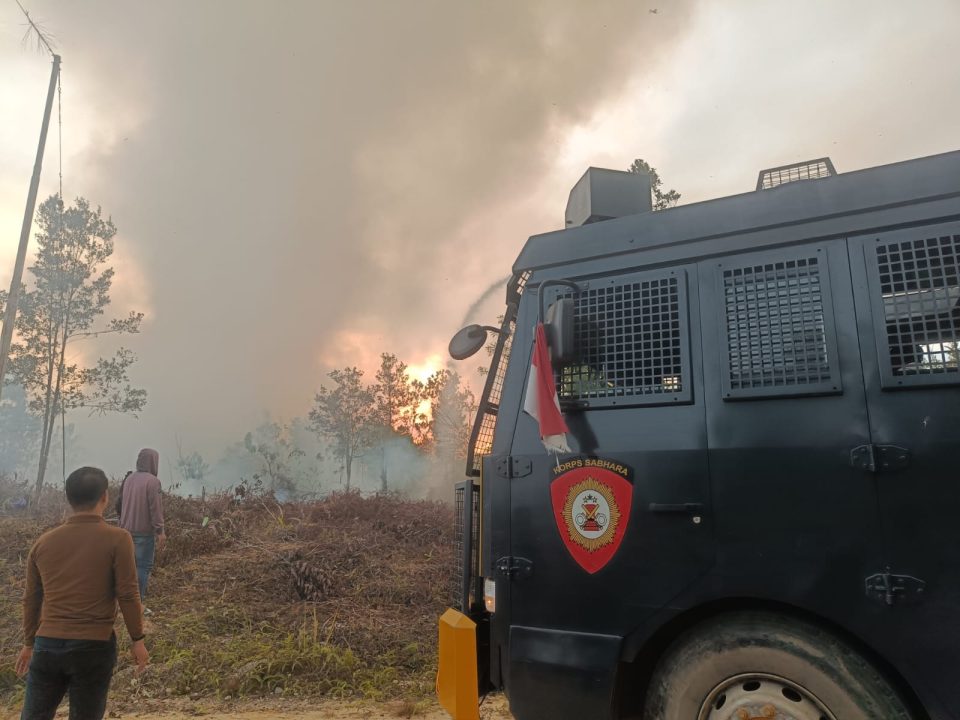 Whatsapp Image 2026 01 24 At 1.31.26 Pm