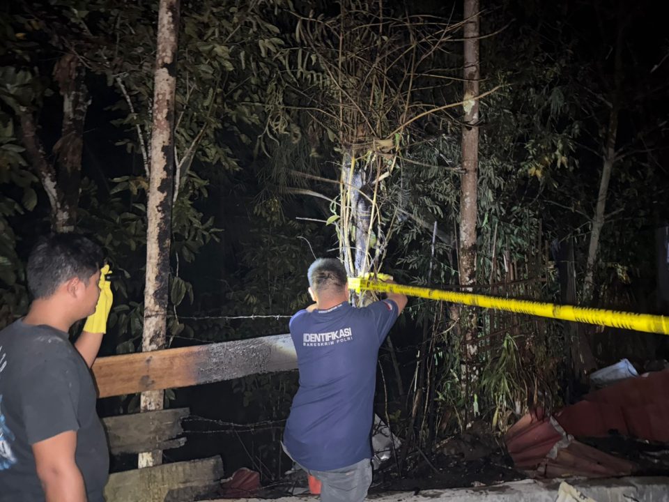 Whatsapp Image 2026 01 30 At 2.15.37 Pm