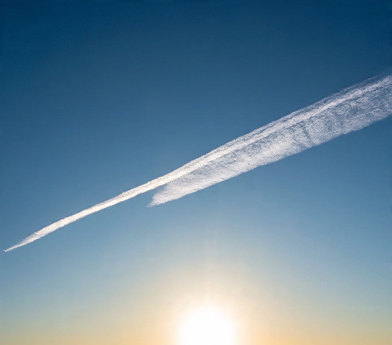 Whatsapp Image 2026 01 30 At 5.03.53 Pm